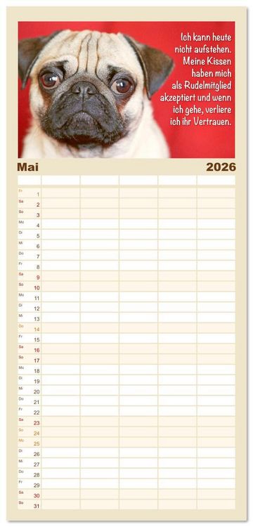 Produktbild: Familienplaner 2026 - Mopsala: Vom Gl&uuml;ck, ein Mops zu sein mit 5 Spalten (Wandkalender, 21 x 45 cm) CALVENDO