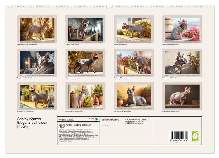 Produktbild: Sphinx Katzen. Eleganz auf leisen Pfoten (hochwertiger Premium Wandkalender 2026 DIN A2 quer), Kunstdruck in Hochglanz