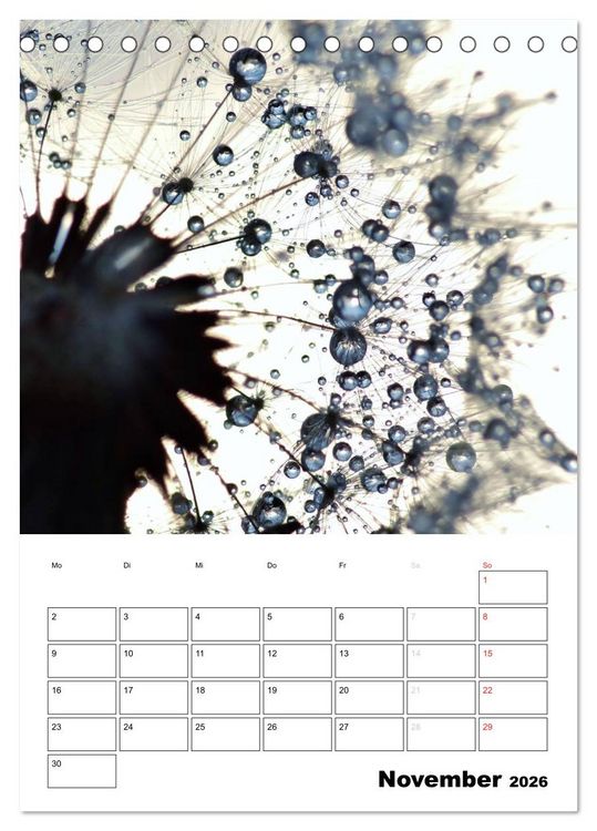 Produktbild: Pusteblumentraum - Dreams of Dandelion (Tischkalender 2026 DIN A5 hoch), CALVENDO Monatskalender