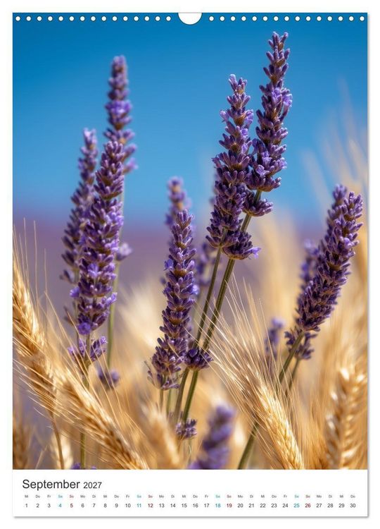 Produktbild: Der Sommer bl&uuml;ht violett (Wandkalender 2027 DIN A3 hoch), CALVENDO Monatskalender