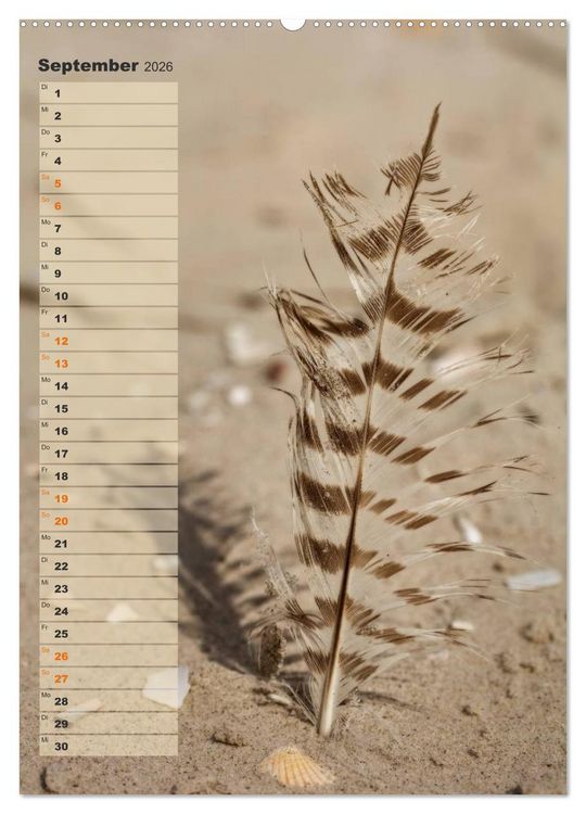 Produktbild: Zwischen D&uuml;nen und Watt / Geburtstagskalender (hochwertiger Premium Wandkalender 2026 DIN A2 hoch), Kunstdruck in Hochglanz