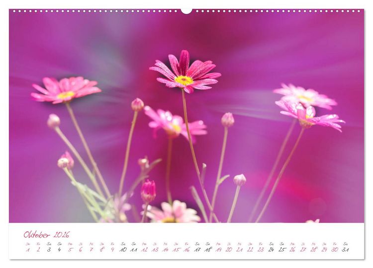Produktbild: Bl&uuml;tentr&auml;ume in violett und pink (hochwertiger Premium Wandkalender 2026 DIN A2 quer), Kunstdruck in Hochglanz