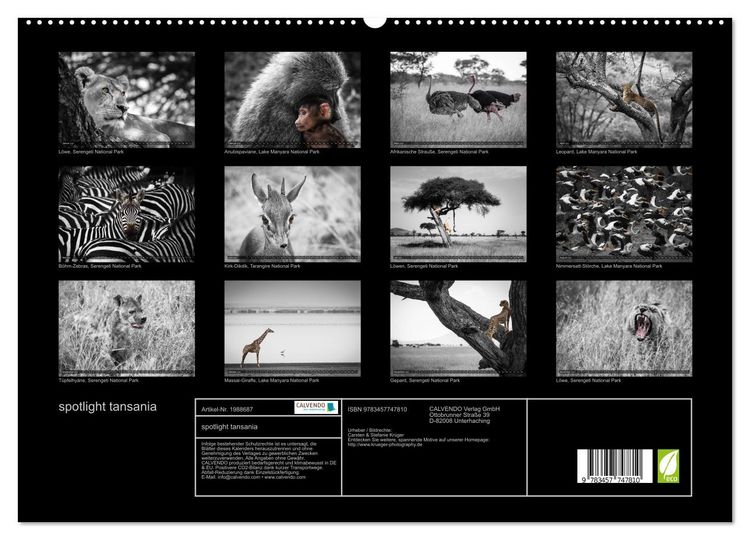 Produktbild: spotlight tansania (hochwertiger Premium Wandkalender 2026 DIN A2 quer), Kunstdruck in Hochglanz