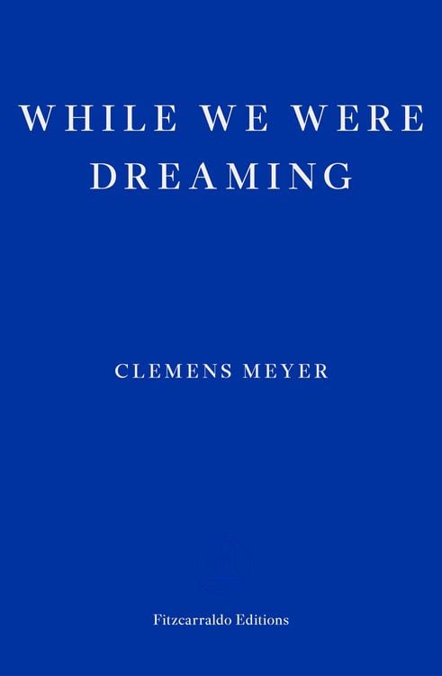 Produktbild: While We Were Dreaming