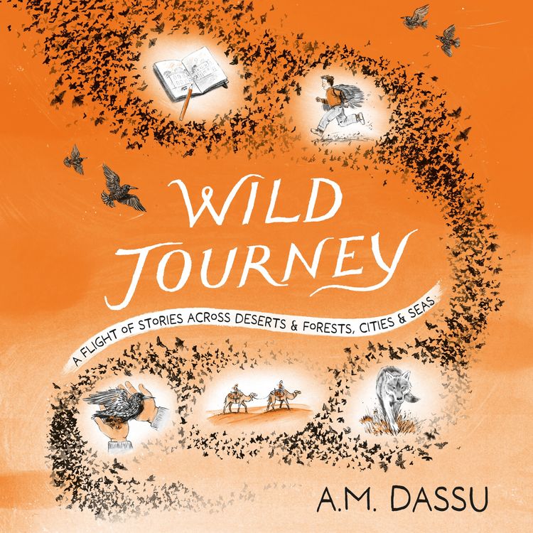 Produktbild: Wild Journey