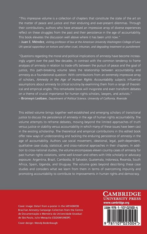 Produktbild: Amnesty in the Age of Human Rights Accountability