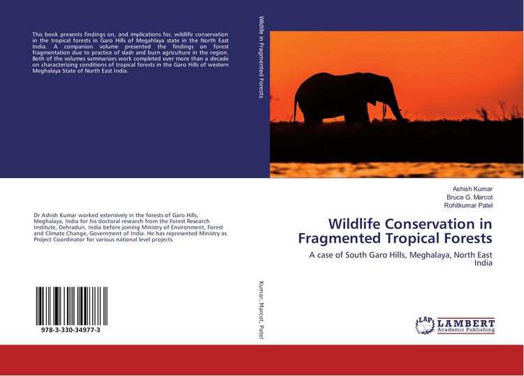 Produktbild: Wildlife Conservation in Fragmented Tropical Forests