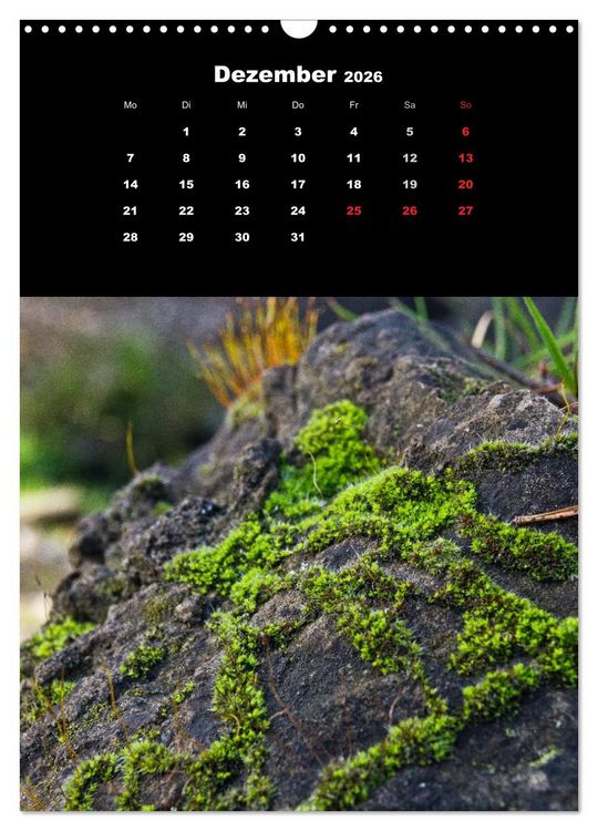 Produktbild: Die Welt der Moose. Ein Blick nach unten (Wandkalender 2026 DIN A3 hoch), CALVENDO Monatskalender