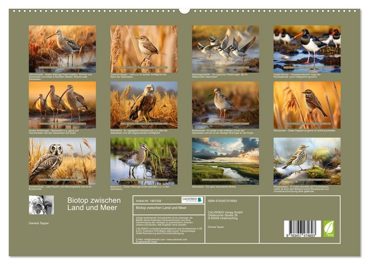 Produktbild: Biotop zwischen Land und Meer (hochwertiger Premium Wandkalender 2026 DIN A2 quer), Kunstdruck in Hochglanz