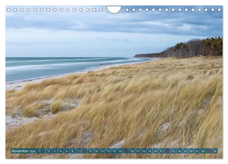Produktbild: Dar&szlig;-Zingst Naturimpressionen (Wandkalender 2026 DIN A4 quer), CALVENDO Monatskalender