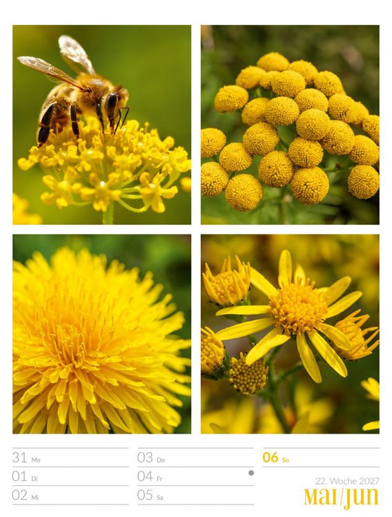 Produktbild: Farben der Natur Wochenplaner Kalender 2027