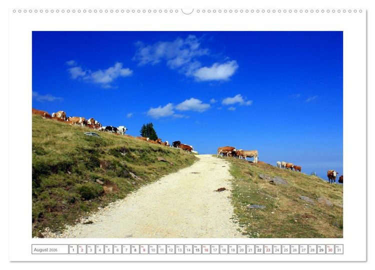Produktbild: K&auml;rnten - Das Wanderparadies im S&uuml;den &Ouml;sterreichs (Wandkalender 2026 DIN A2 quer), CALVENDO Monatskalender