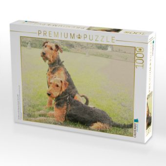 Produktbild: CALVENDO Puzzle Ein Motiv aus dem Kalender Airedale Terrier 2017 | 1000 Teile Lege-Gr&ouml;&szlig;e 64x48cm Foto-Puzzle f&uuml;r gl&uuml;ckliche Stunden