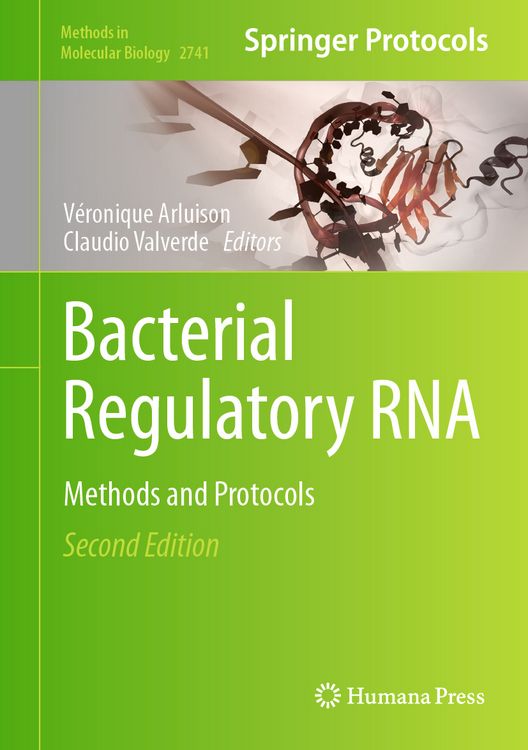 Produktbild: Bacterial Regulatory RNA