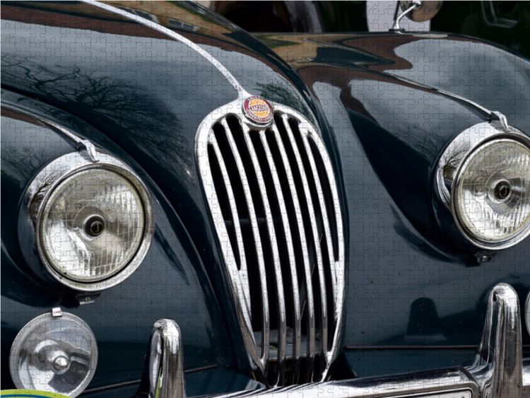 Produktbild: CALVENDO Puzzle K&uuml;hlergrill Jaguar 1000 Teile Lege-Gr&ouml;&szlig;e 64 x 48 cm Foto-Puzzle Bild von Karin Sigwarth