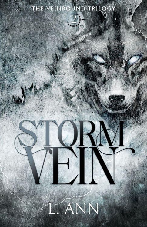 Produktbild: Stormvein