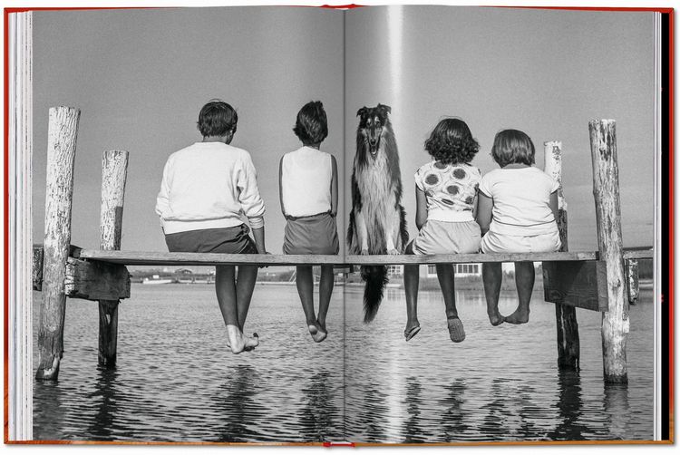 Produktbild: Walter Chandoha. Dogs. Photographs 1941&ndash;1991