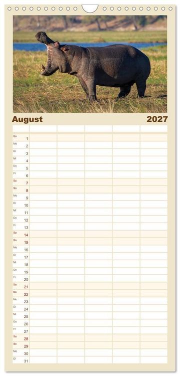 Produktbild: Familienplaner 2027 - Hippos - Gef&auml;hrliche Giganten mit 5 Spalten (Wandkalender, 21 x 45 cm) CALVENDO