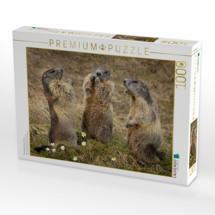 Produktbild: CALVENDO Puzzle Murmeltierversammlung | 1000 Teile Lege-Gr&ouml;&szlig;e 64x48cm Foto-Puzzle f&uuml;r gl&uuml;ckliche Stunden