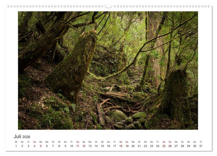 Produktbild: Yakushima - Japans Weltnaturerbe (hochwertiger Premium Wandkalender 2026 DIN A2 quer), Kunstdruck in Hochglanz