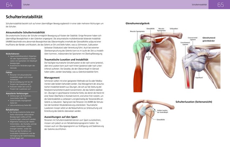 Produktbild: Die Anatomie der Sportverletzungen