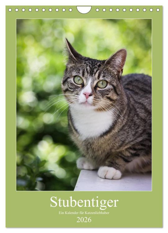 Produktbild: Stubentiger (Wandkalender 2026 DIN A4 hoch), CALVENDO Monatskalender