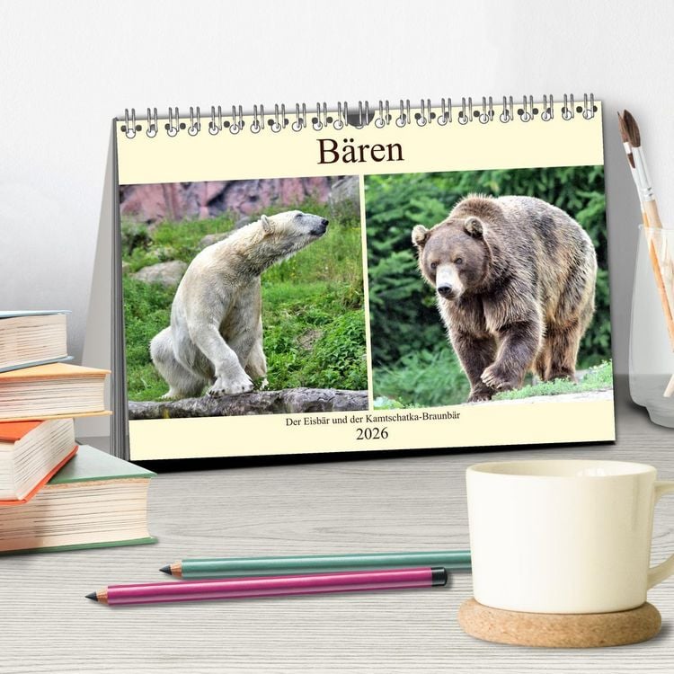 Produktbild: B&auml;ren - Der Eisb&auml;r und der Kamtschatka-Braunb&auml;r (Tischkalender 2026 DIN A5 quer), CALVENDO Monatskalender