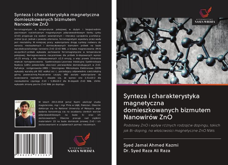 Produktbild: Synteza i charakterystyka magnetyczna domieszkowanych bizmutem Nanowir&oacute;w ZnO