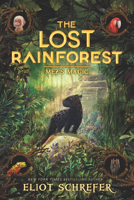 Produktbild: The Lost Rainforest #1