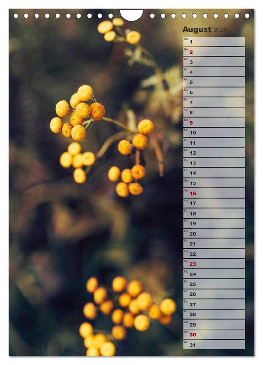 Produktbild: Kalender - Natur im Detail (Wandkalender 2026 DIN A4 hoch), CALVENDO Monatskalender