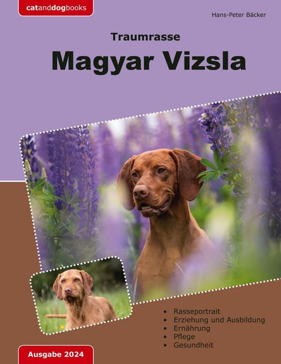 Produktbild: Traumrasse: Magyar Vizsla