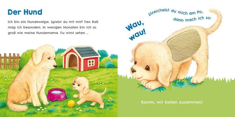 Produktbild: H&ouml;r mal, wie ich miauen kann (Mein erstes Streichel-Soundbuch 2)