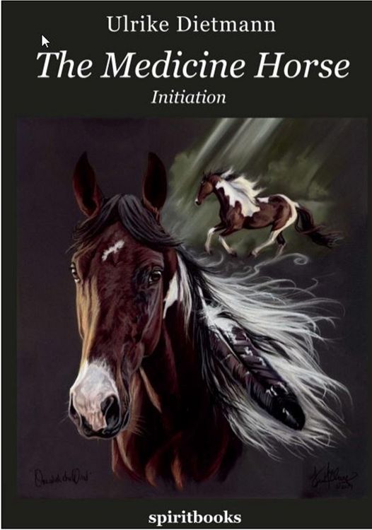Produktbild: The Medicine Horse