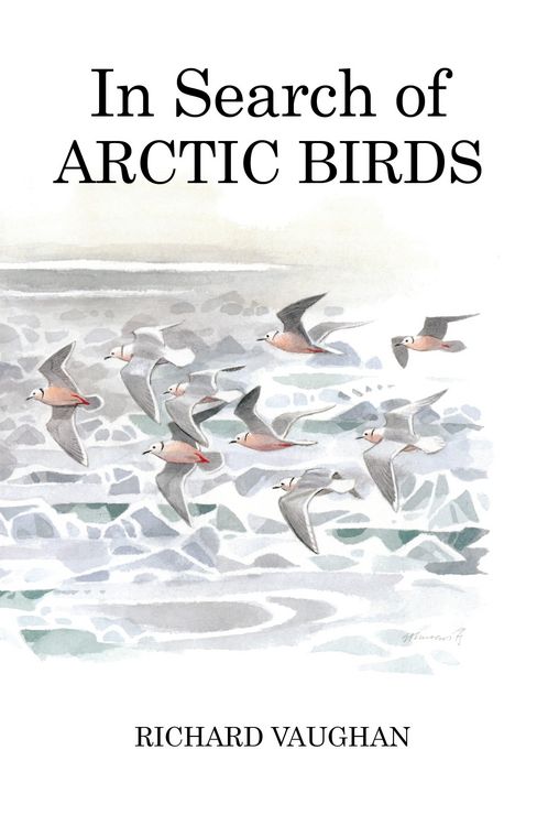 Produktbild: In Search of Arctic Birds