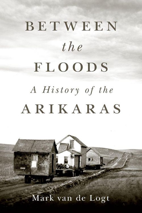 Produktbild: Between the Floods