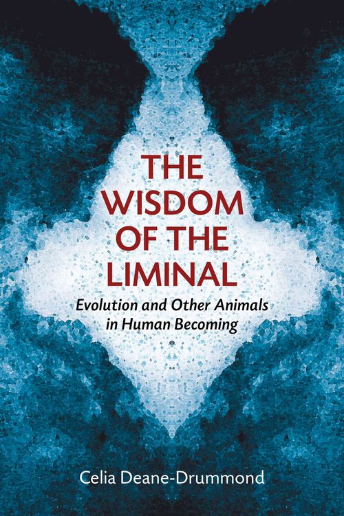 Produktbild: The Wisdom of the Liminal