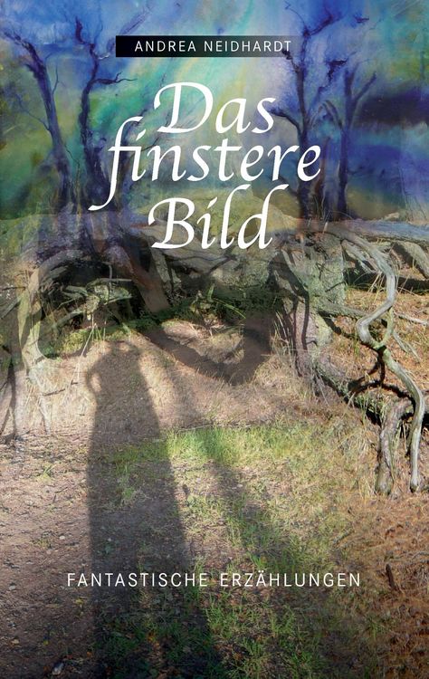 Produktbild: Das finstere Bild