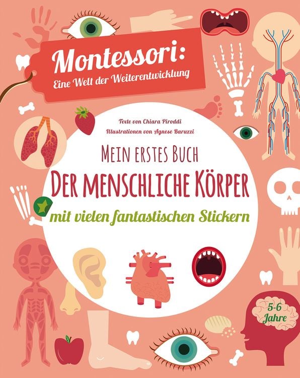 Produktbild: Mein erstes Buch: Der menschliche K&ouml;rper