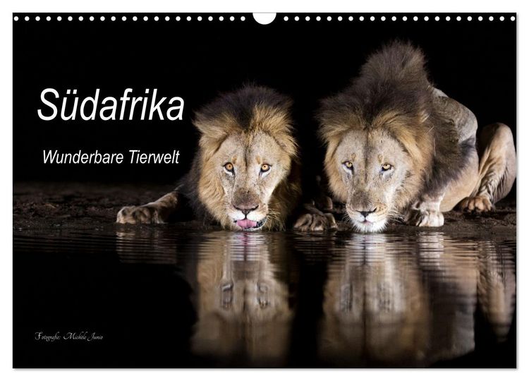 Produktbild: S&uuml;dafrika wunderbare Tierwelt (Wandkalender 2026 DIN A3 quer), CALVENDO Monatskalender
