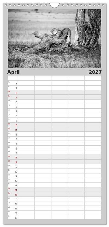 Produktbild: Familienplaner 2027 - Afrika Schwarz - Weiss mit 5 Spalten (Wandkalender, 21 x 45 cm) CALVENDO
