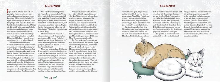 Produktbild: Pfoten vom Tannenbaum