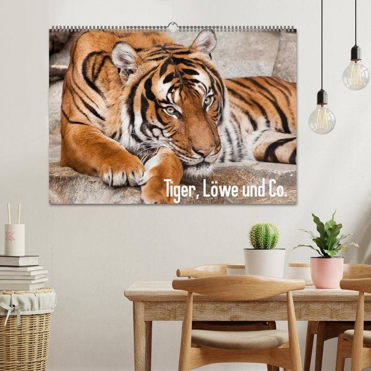 Produktbild: Tiger, L&ouml;we und Co. (Wandkalender 2026 DIN A2 quer), CALVENDO Monatskalender