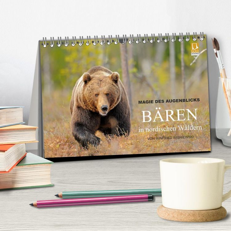 Produktbild: Magie des Augenblicks - B&auml;ren in nordischen W&auml;ldern (Tischkalender 2026 DIN A5 quer), CALVENDO Monatskalender