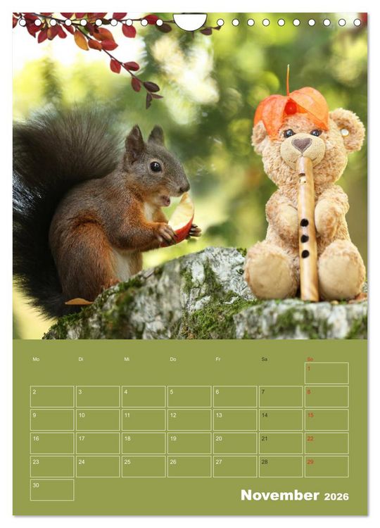 Produktbild: Eichh&ouml;rnchen - Abenteuer mit Freund Teddy (Wandkalender 2026 DIN A4 hoch), CALVENDO Monatskalender