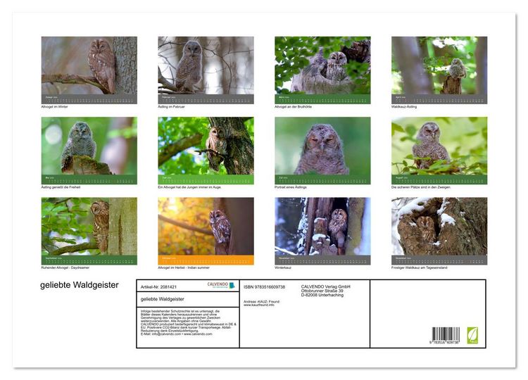 Produktbild: geliebte Waldgeister (Wandkalender 2026 DIN A2 quer), CALVENDO Monatskalender
