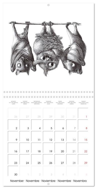 Produktbild: owls and mates 2026 (Wall Calendar 2026 12 &times; 12 Inch) CALVENDO 12 Month Wall Calendar