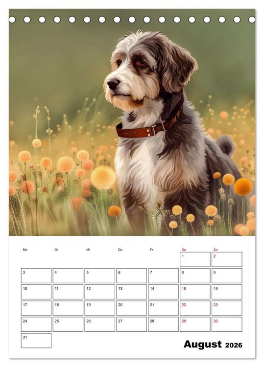 Produktbild: Aussiedoodle - Hunde zum Liebhaben (Tischkalender 2026 DIN A5 hoch), CALVENDO Monatskalender
