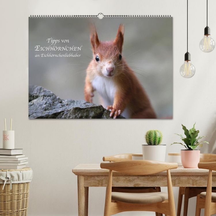 Produktbild: Tipps von Eichh&ouml;rnchen an Eichh&ouml;rnchenliebhaber (Wandkalender 2026 DIN A2 quer), CALVENDO Monatskalender