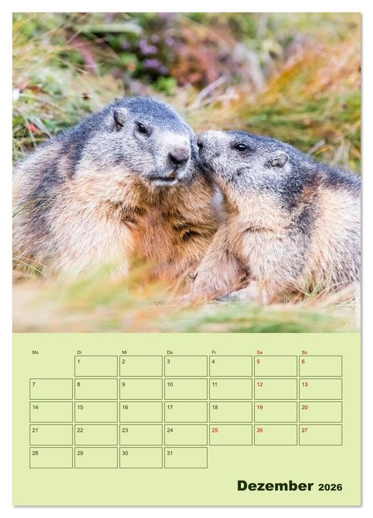 Produktbild: H&ouml;rnchen aus aller Welt (Wandkalender 2026 DIN A3 hoch), CALVENDO Monatskalender