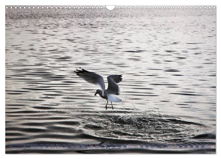 Produktbild: Kanada - short visit (Wandkalender 2026 DIN A3 quer), CALVENDO Monatskalender